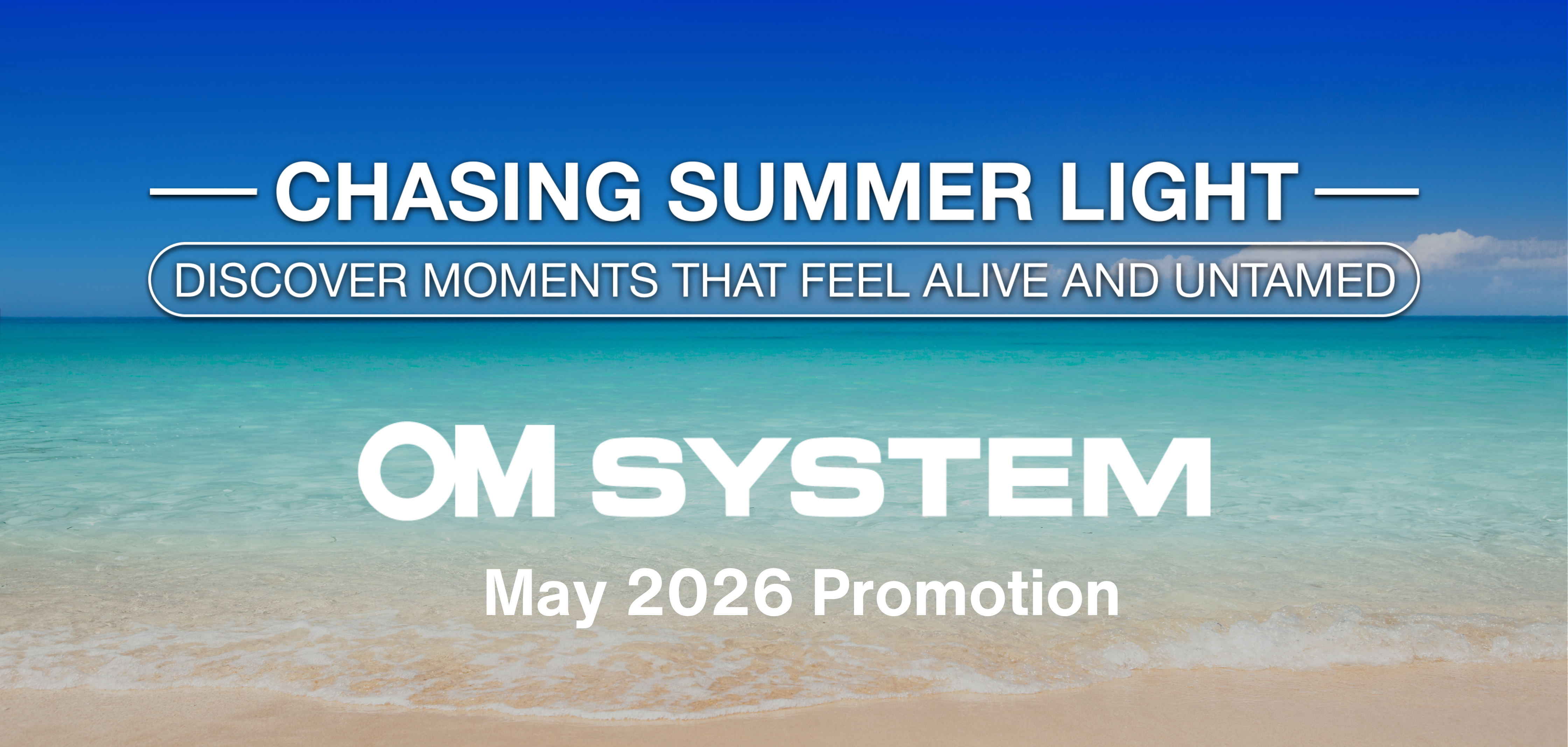 Chasing Summer Light: Capture Moments That Feel Alive & Untamed
